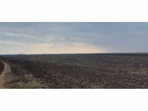 image01.jpg