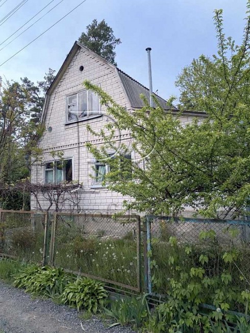 image01.jpg