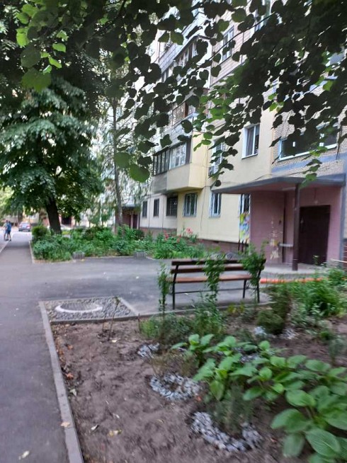 image01.jpg