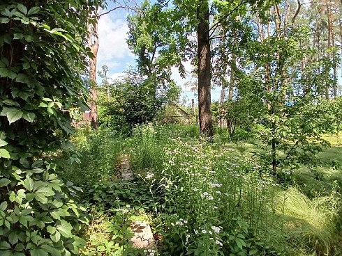 image01.jpg