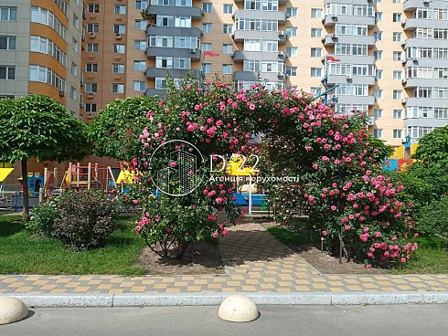 image01.jpg