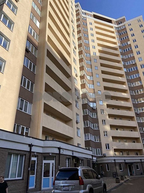 image01.jpg