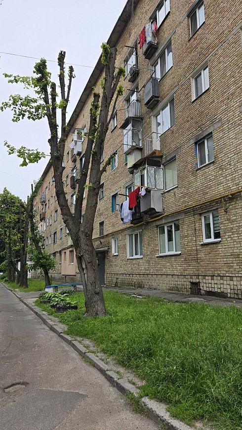 image01.jpg