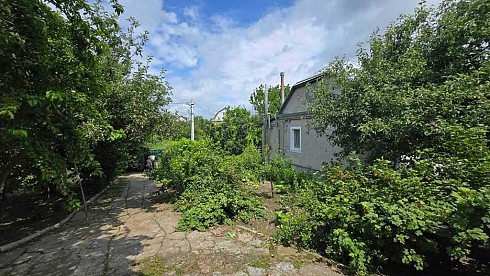 image01.jpg
