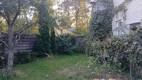 image01.jpg