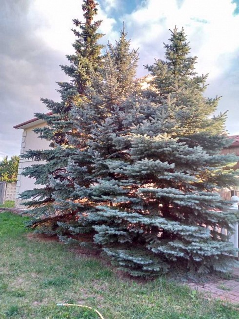 image01.jpg