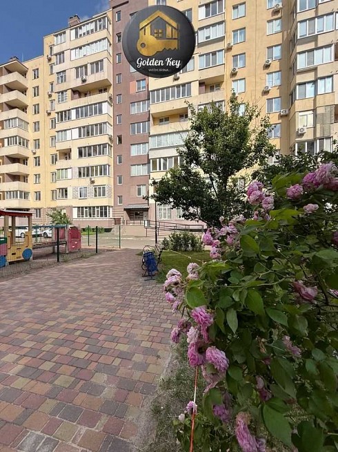 image01.jpg