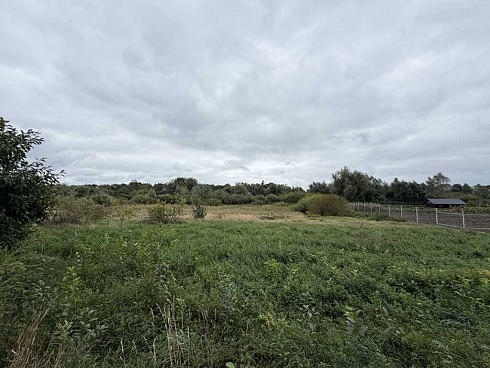 image01.jpg