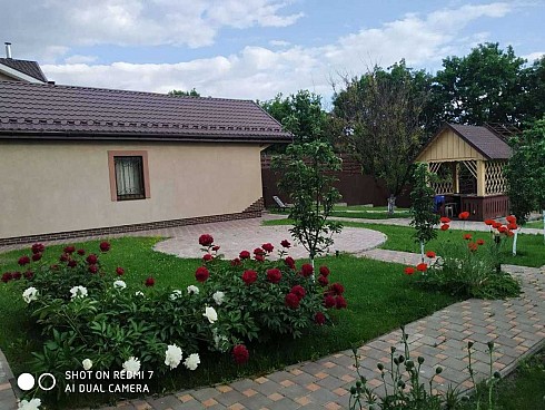 image01.jpg