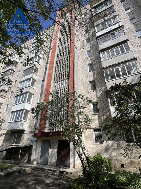 image01.jpg