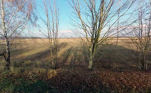 image01.jpg