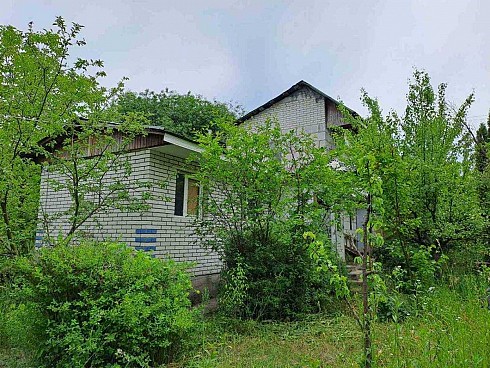 image01.jpg
