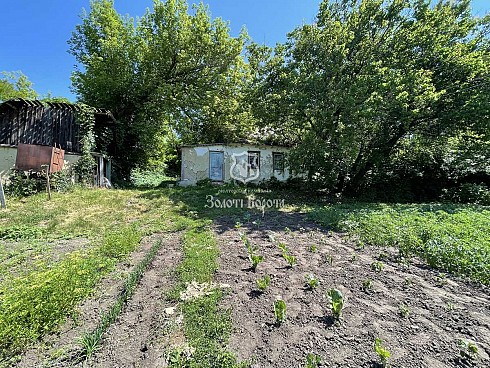 image01.jpg