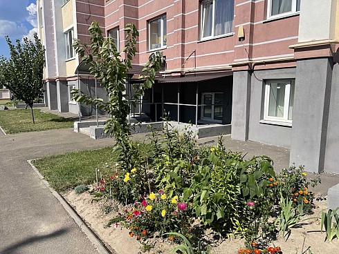 image01.jpg