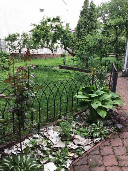 image01.jpg