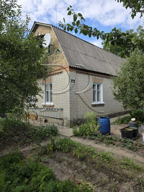 image01.jpg