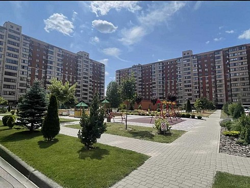 image01.jpg