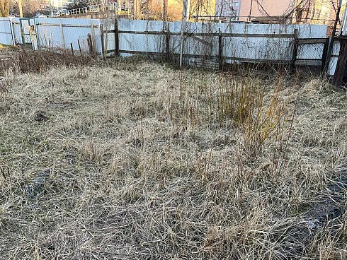 image01.jpg