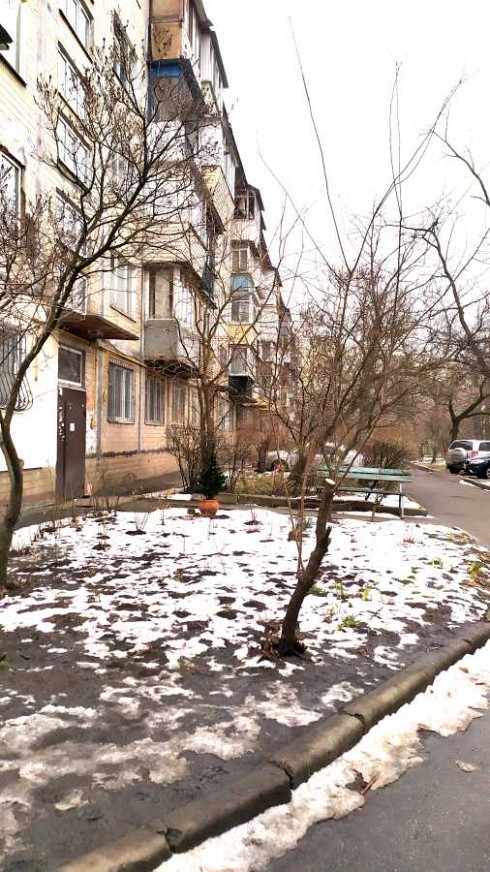 image01.jpg