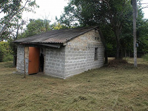image01.jpg
