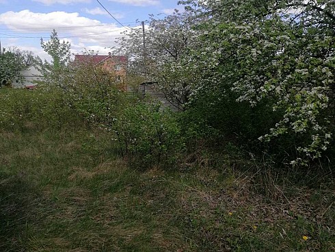 image01.jpg
