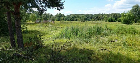 image01.jpg