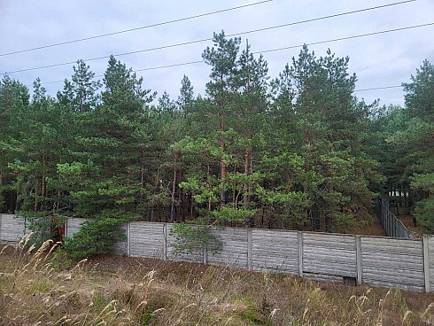image01.jpg