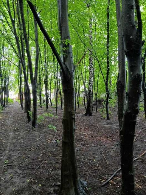 image01.jpg