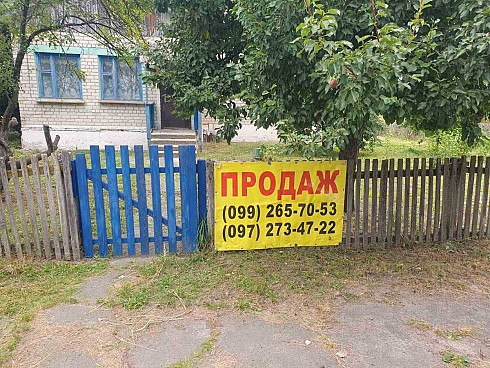 image01.jpg