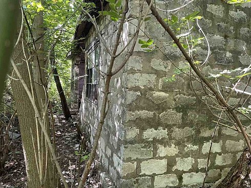 image01.jpg