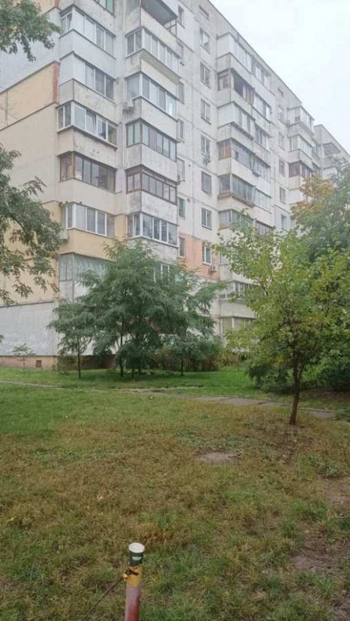 image01.jpg