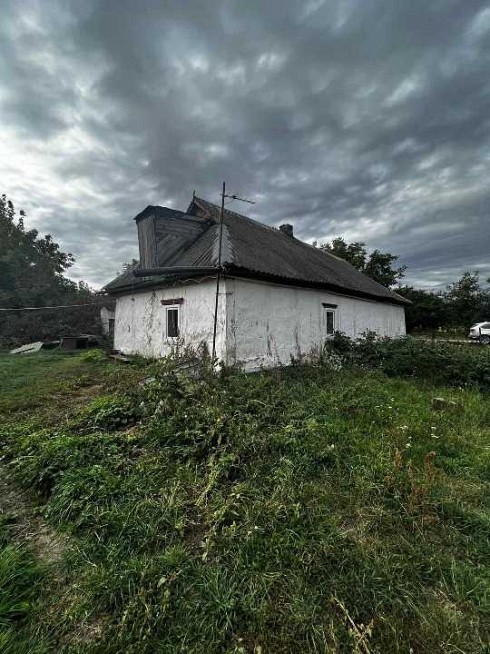 image01.jpg