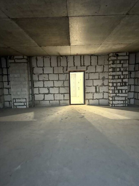 image01.jpg