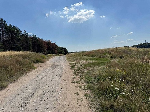 image01.jpg