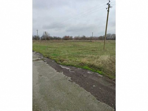 image01.jpg