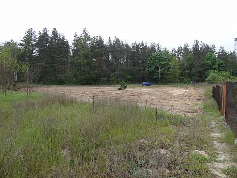 image01.jpg