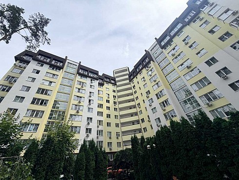 image01.jpg