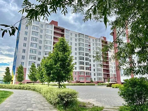 image01.jpg