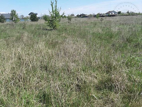 image01.jpg