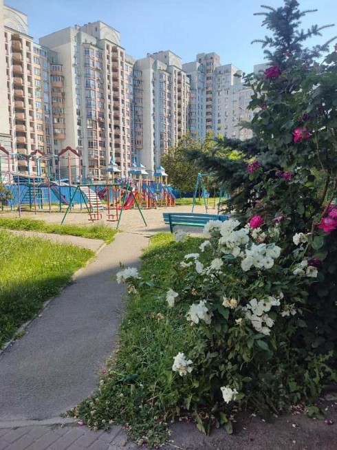 image01.jpg