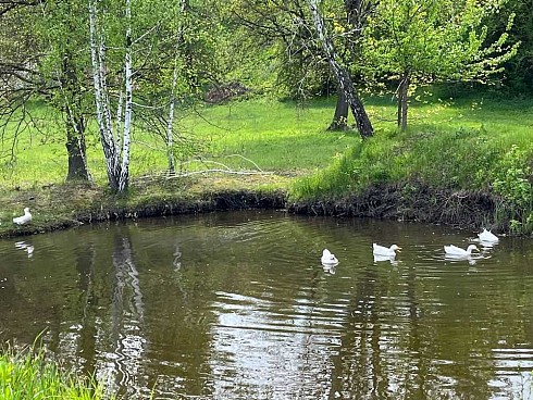image01.jpg