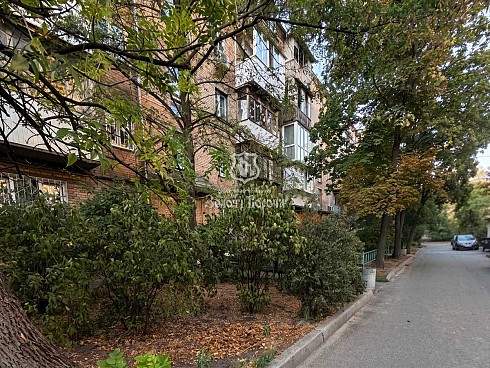image01.jpg