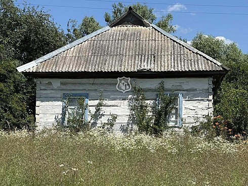 image01.jpg