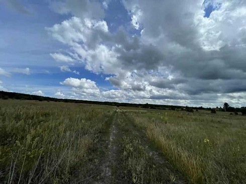 image01.jpg