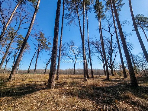 image01.jpg
