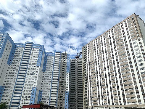 image01.jpg