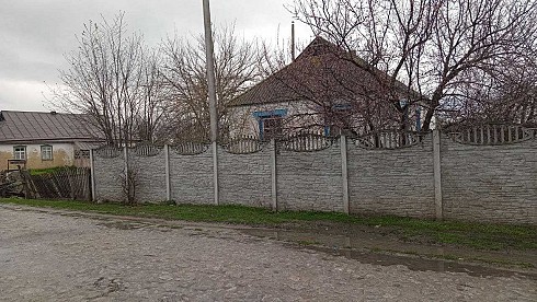 image01.jpg