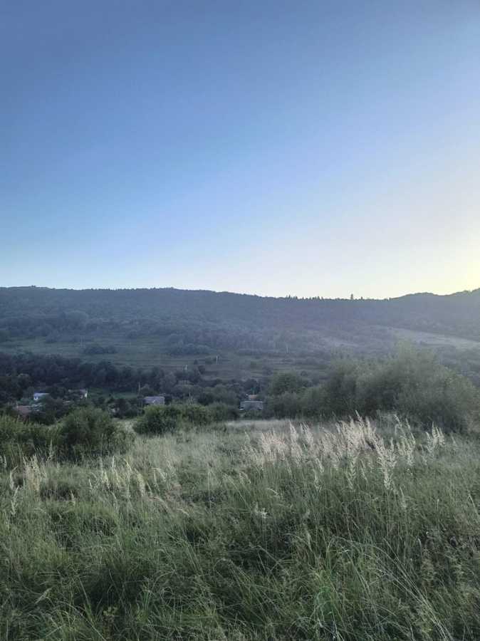 ������ �������� ������, ��������� ���., ��������, ��������, ����