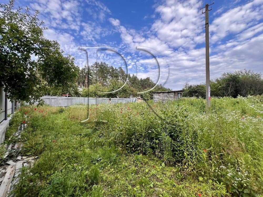  ,  ., , ,  51 