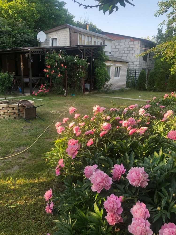  ,  ., , ,  